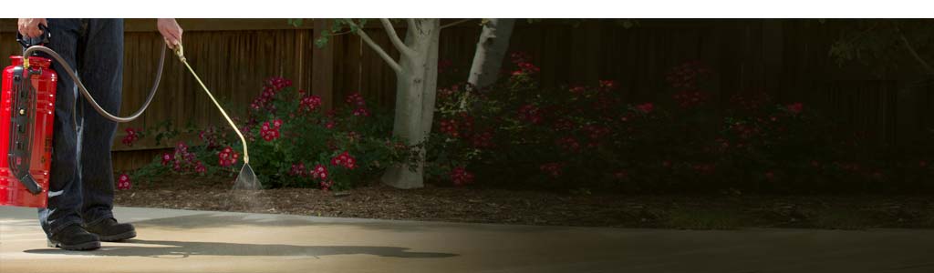 CHEM MASTERS POLYSEAL 309A - 5 Gallon