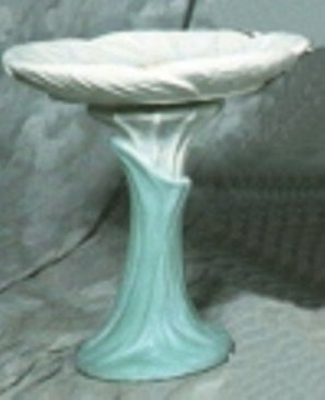 BIRD BATH MORNING GLORY