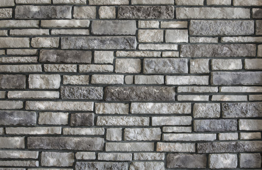 PRO VIA SILVERLAKE  *ENHANCED COLOR*